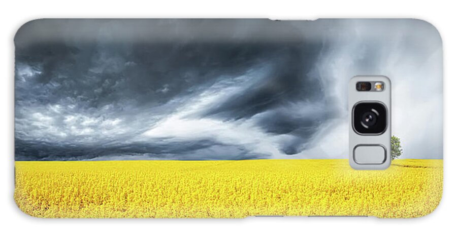 Hello Bessi Galaxy Case featuring the photograph Canola Field #2 by Bess Hamiti