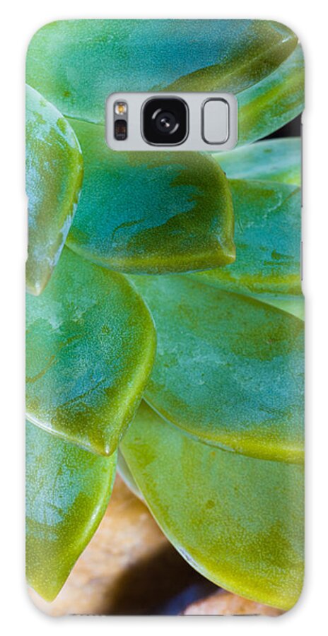 Beautiful Galaxy Case featuring the photograph Blue Pearl Plant by Raul Rodriguez