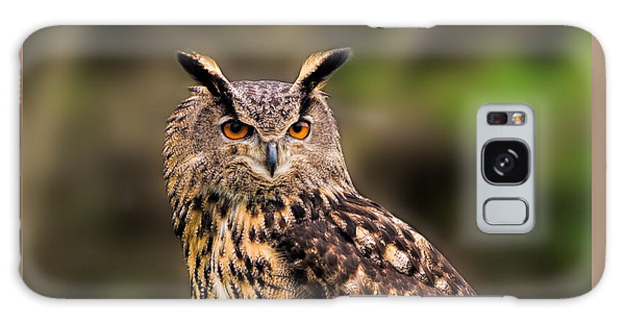 Birds Galaxy Case featuring the photograph Eurasian Eagle Owl perched on a post by Les Palenik