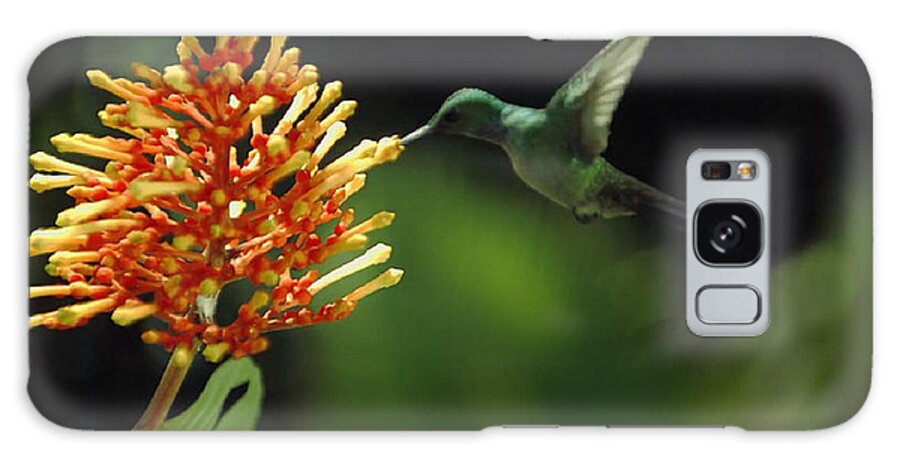 Hummingbird Galaxy Case featuring the photograph Hummingbird #2 by Digital Art Cafe