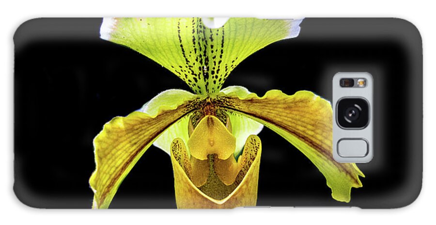 Flower Galaxy Case featuring the photograph Orchid #2 by Richard Goldman