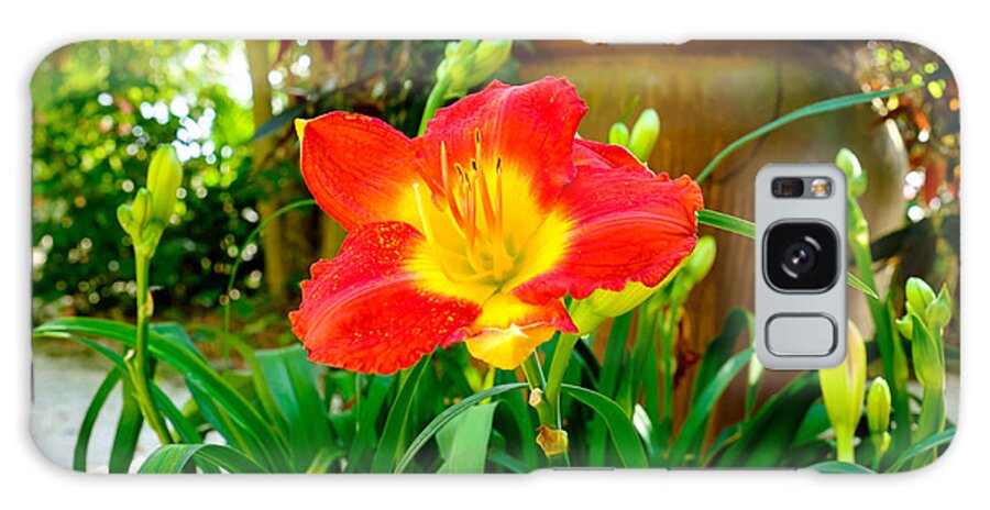 Beautiful Galaxy Case featuring the photograph Pretty flower #2 by Raul Rodriguez