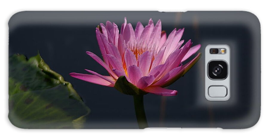 Purple Galaxy Case featuring the photograph Purple Lotus Waterlily #2 by Jackie Irwin