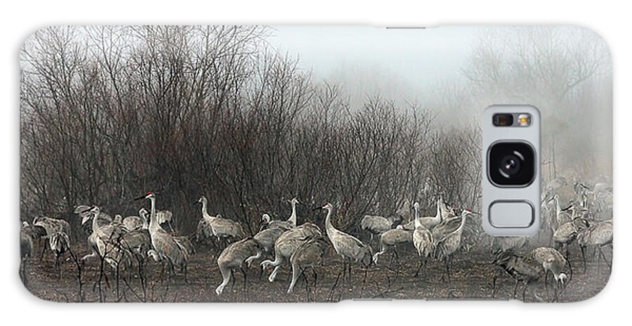 Cranes Galaxy Case featuring the photograph Sandhill Cranes and the Fog by Farol Tomson