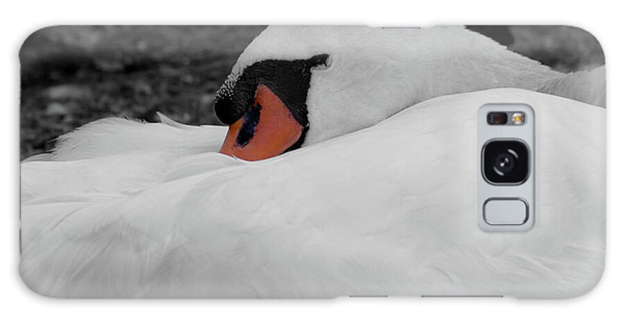 Swan Galaxy Case featuring the photograph Sleeping Beauty #2 by Scott Carruthers