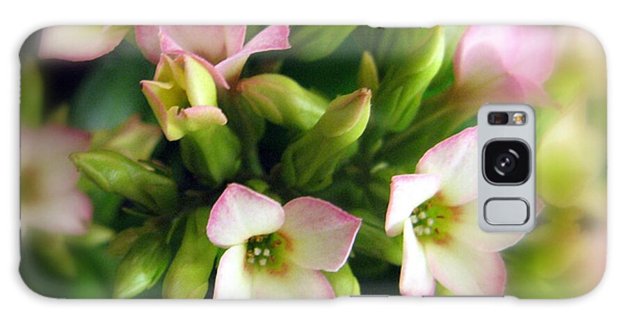Nature Galaxy S8 Case featuring the photograph Spring Blossom by Jessica Jenney