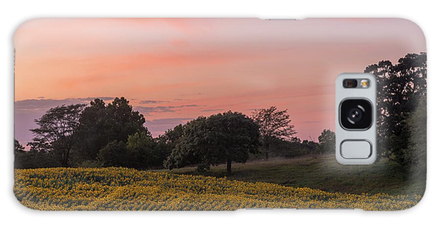 Sunflower Galaxy Case featuring the photograph Sunflowers in Pink #4 by Ryan Heffron