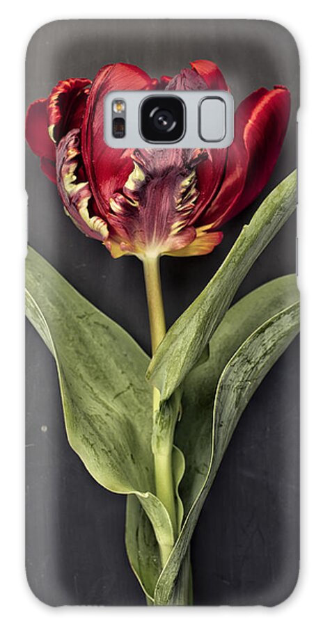 Tulip Galaxy Case featuring the photograph Tulip #2 by Nailia Schwarz