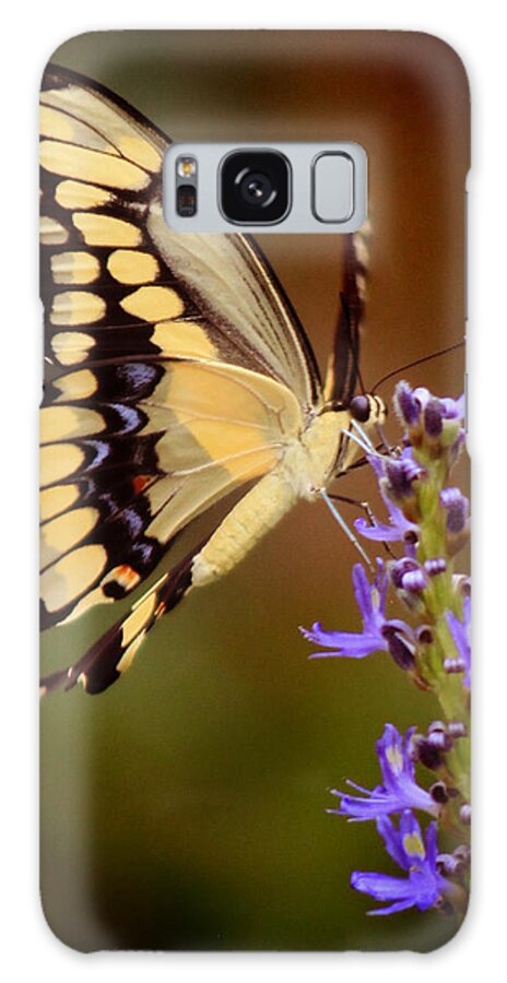 Butterfly Galaxy S8 Case featuring the photograph Yellow Swallowtail #2 by Joseph G Holland