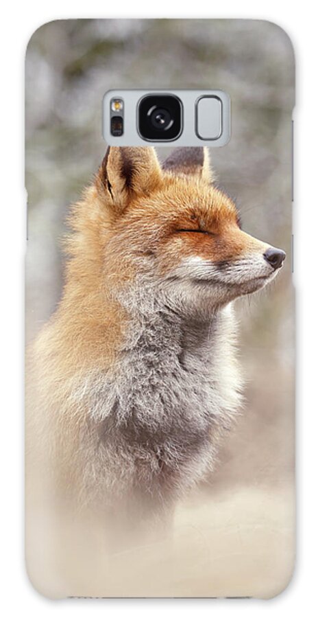 Fox Galaxy Case featuring the photograph Zen Fox Series- Calm Fox by Roeselien Raimond