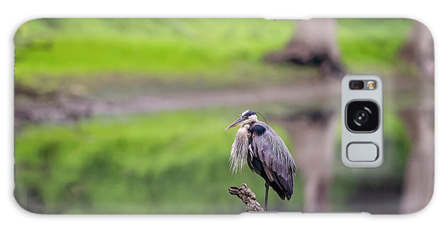 Animal Galaxy Case featuring the photograph Blue Heron #20 by Peter Lakomy