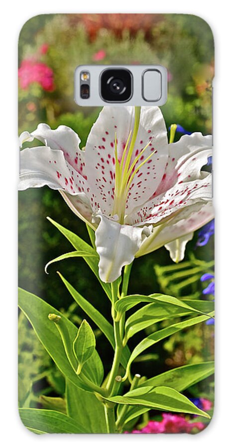 Oriental Lilies Galaxy Case featuring the photograph 2016 Late August at the Garden White Lily by Janis Senungetuk