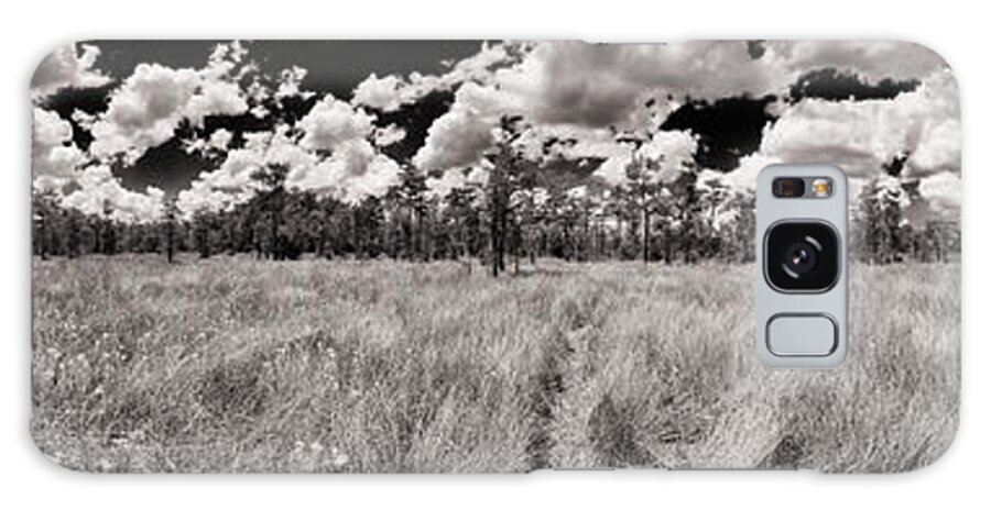 Everglades Galaxy Case featuring the photograph Florida Everglades by Raul Rodriguez
