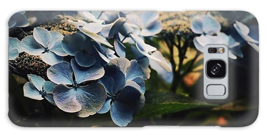  Galaxy Case featuring the photograph Instagram Photo #211464486157 by Arden Yum