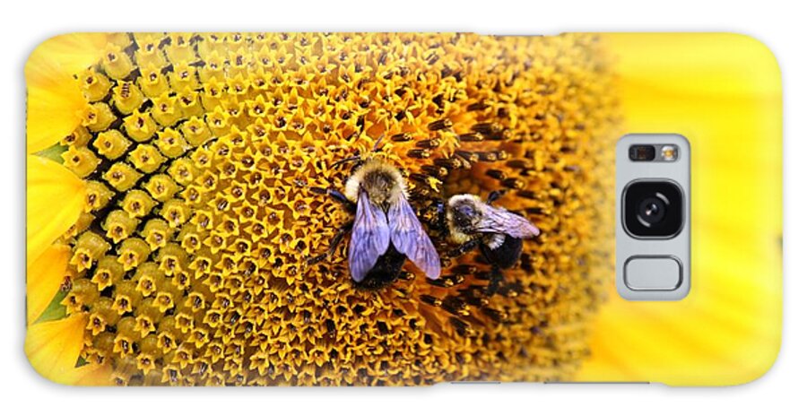 Sunflower Galaxy Case featuring the photograph Sunflower #22 by Donn Ingemie