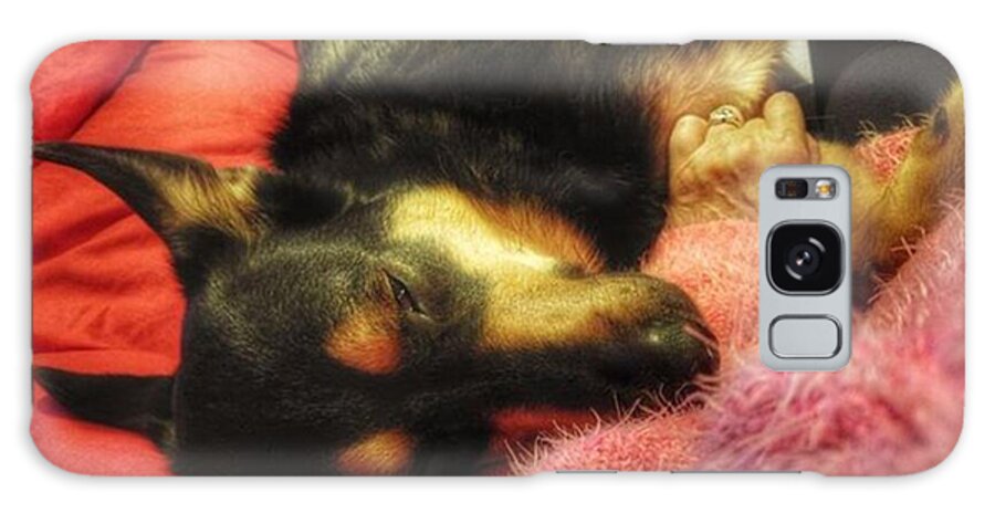 Petstagram Galaxy Case featuring the photograph #dogs #petstagram #gsd #germanshepherd #3 by Abbie Shores