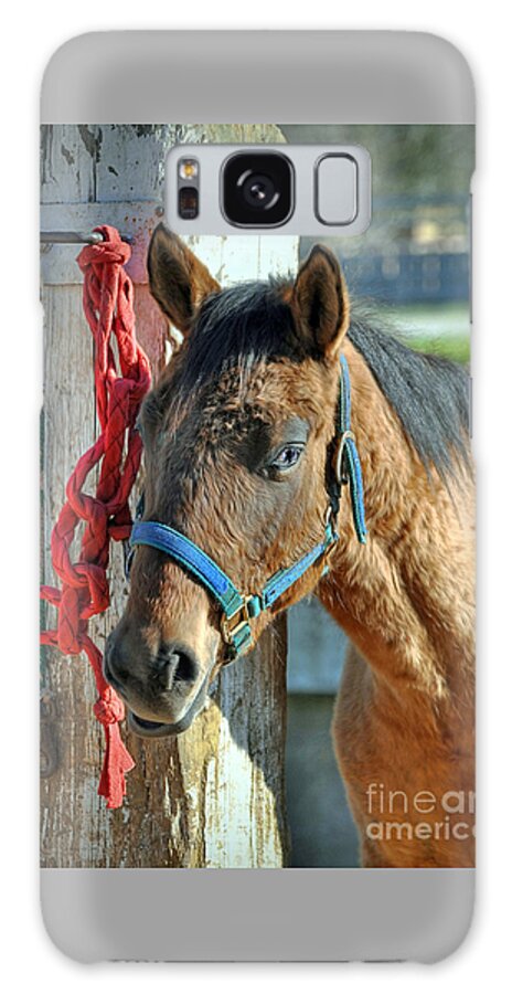 Animal Galaxy Case featuring the photograph Horse #2 by Savannah Gibbs