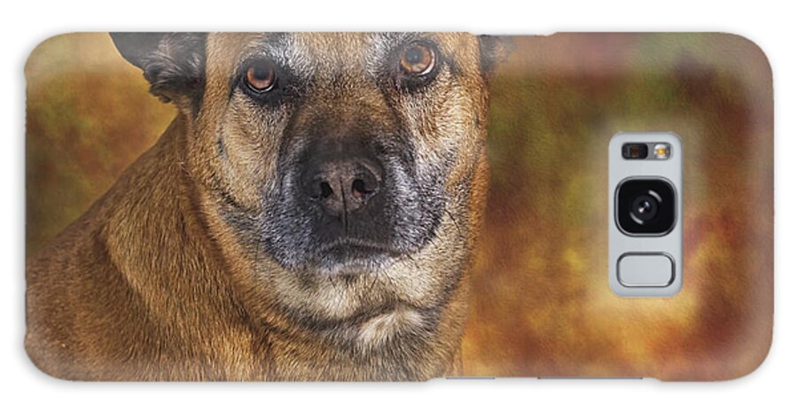Animal Galaxy Case featuring the photograph Mabel #3 by Brian Cross