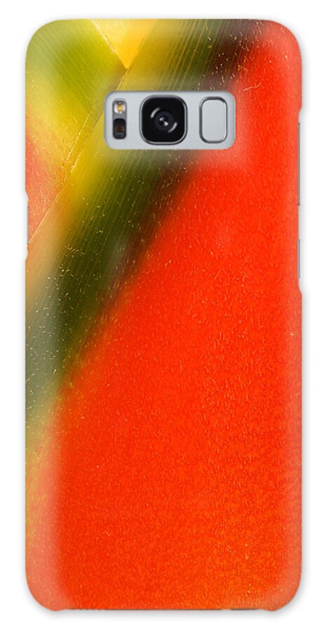Flowers Galaxy Case featuring the photograph Photograph of a Lobster Claws Heliconia #3 by Perla Copernik