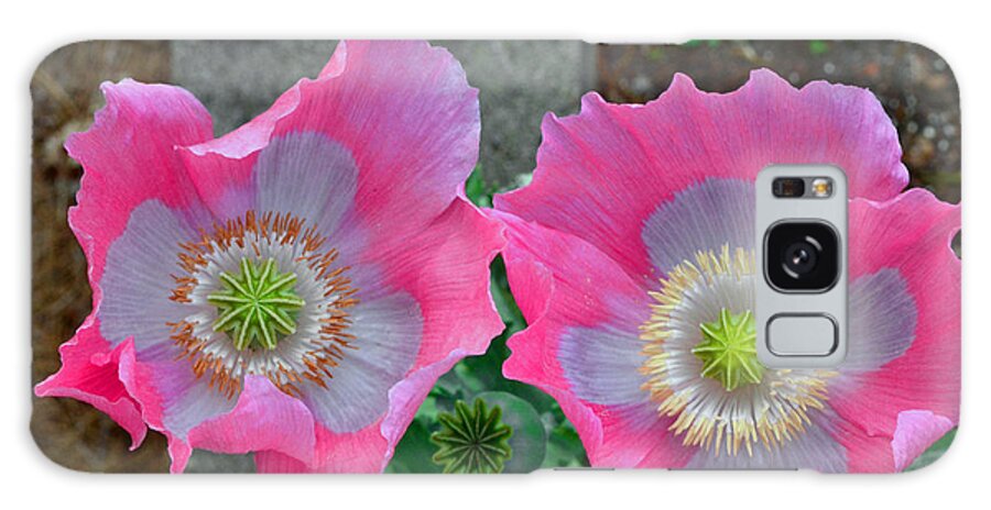 Poppy Galaxy Case featuring the photograph 3 Stages Of A Poppy 001 by George Bostian