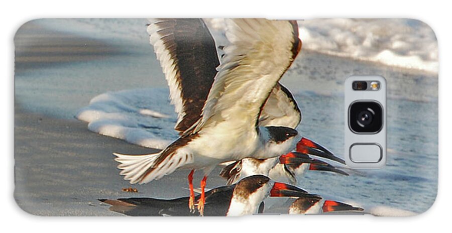 Black Skimmers Galaxy Case featuring the photograph 3- Upward and Onward by Joseph Keane