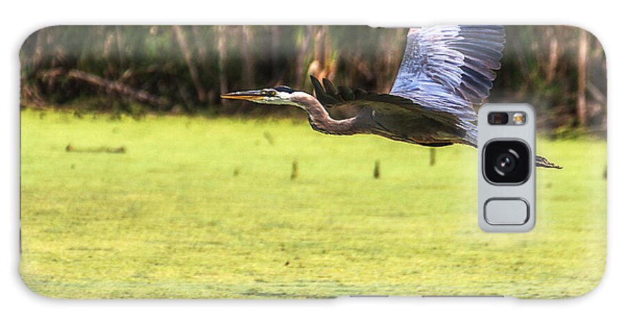 Heron Haven Galaxy Case featuring the photograph Great Blue Heron In Flight #4 by Ed Peterson