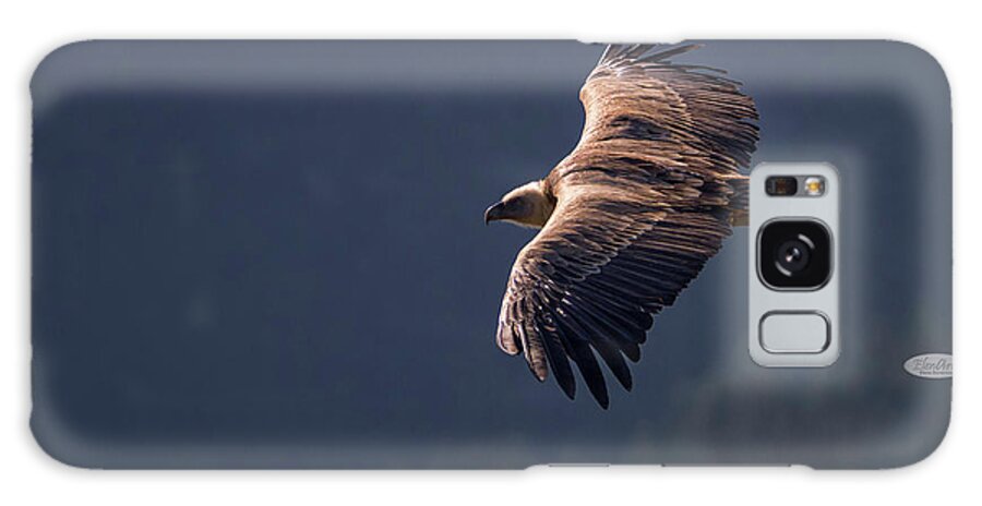 Bird Galaxy Case featuring the photograph Griffon vulture flying, Drome provencale, France #4 by Elenarts - Elena Duvernay photo