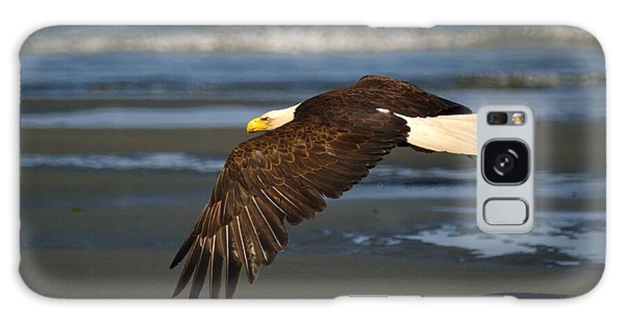 Bald Eagle Galaxy Case featuring the photograph Bald Eagle #5 by Marc Bittan