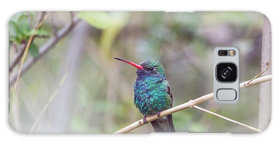 Broad-billed Galaxy Case featuring the photograph Broad-billed Hummingbird #5 by Tam Ryan