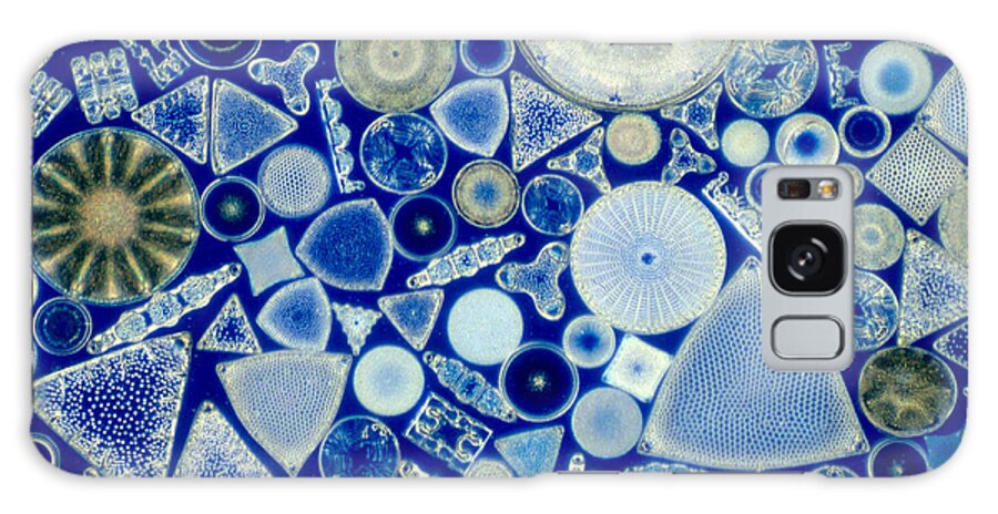 Diatom Galaxy Case featuring the photograph Diatoms #5 by M. I. Walker