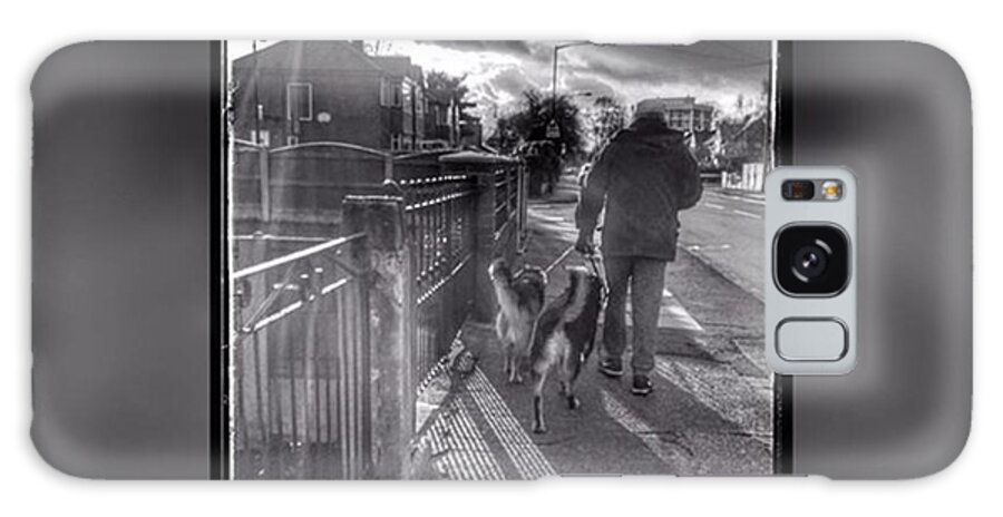 Petstagram Galaxy Case featuring the photograph #dogs #petstagram #gsd #germanshepherd #5 by Abbie Shores