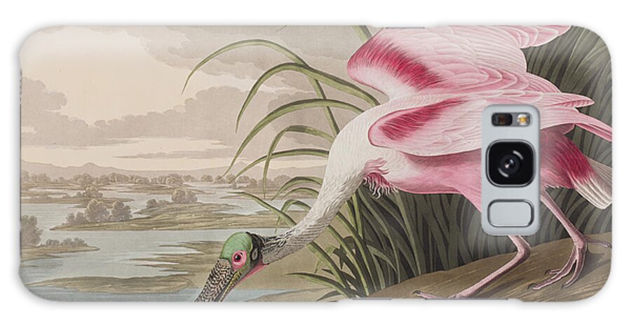 Roseate Spoonbill Galaxy Case featuring the painting Roseate Spoonbill by John James Audubon