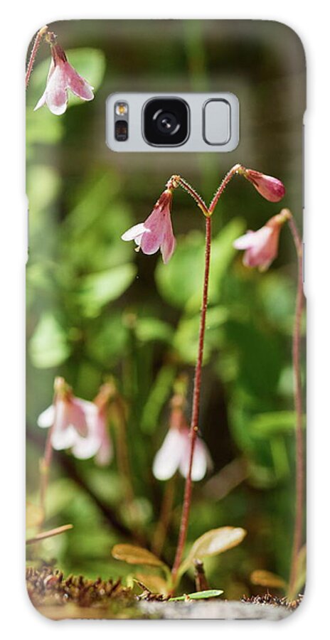 Finland Galaxy Case featuring the photograph Twinflower pink by Jouko Lehto