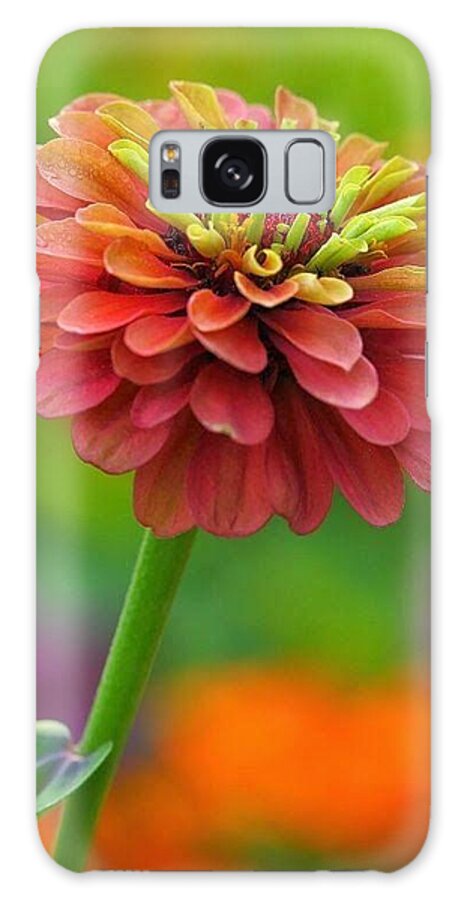 Flower Galaxy Case featuring the photograph 50 Shades of Beautiful by Carolyn Mickulas
