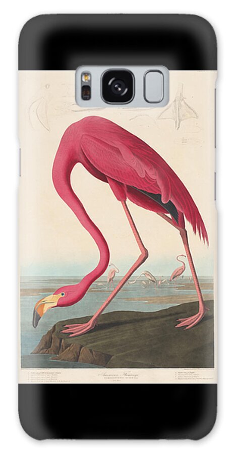 John James Audubon Galaxy S8 Case featuring the painting American Flamingo #6 by John James Audubon