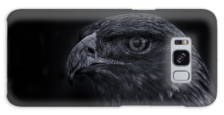 Animal Galaxy Case featuring the photograph Golden Eagle #6 by Brian Cross