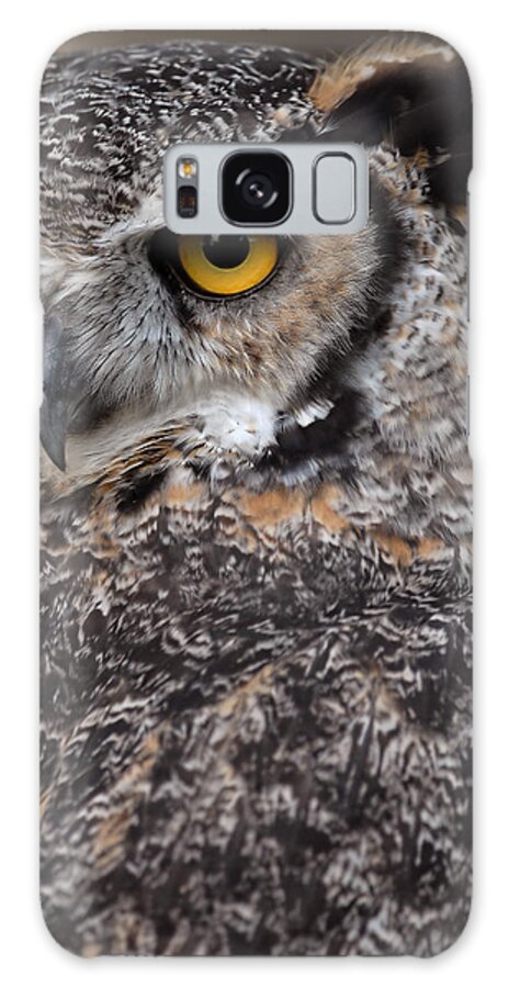 Great Horned Owl Galaxy S8 Case featuring the photograph Great Horned Owl #6 by JT Lewis