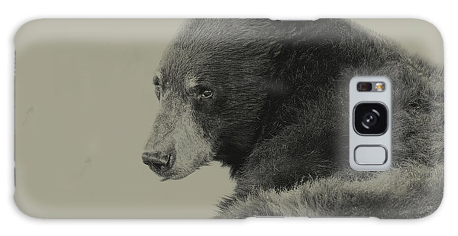 Animal Galaxy Case featuring the photograph Black Bear #8 by Brian Cross