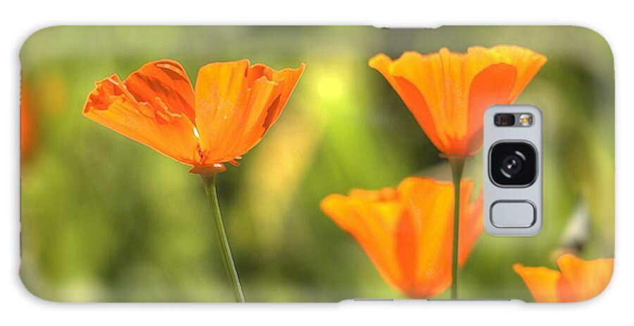 Poppies Galaxy Case featuring the photograph Poppies #8 by Marc Bittan