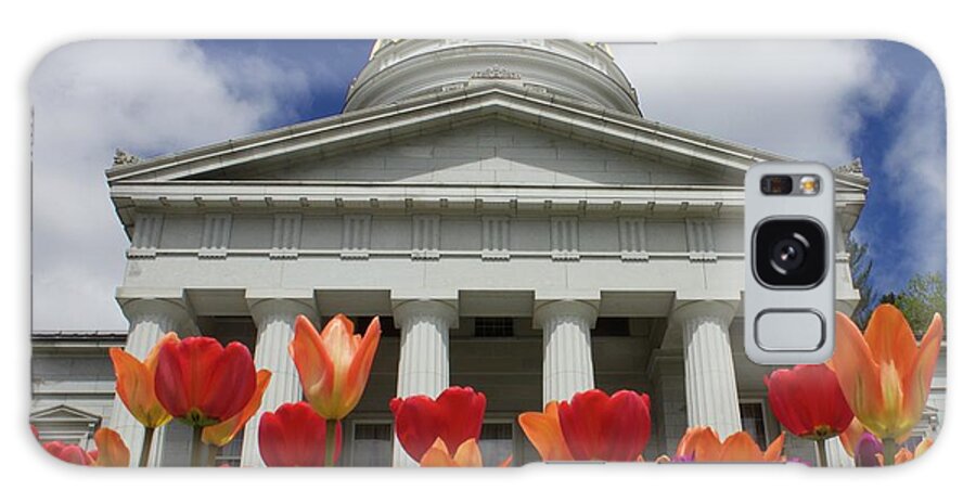 Tulips Galaxy Case featuring the photograph A Capitol Day by Alice Mainville
