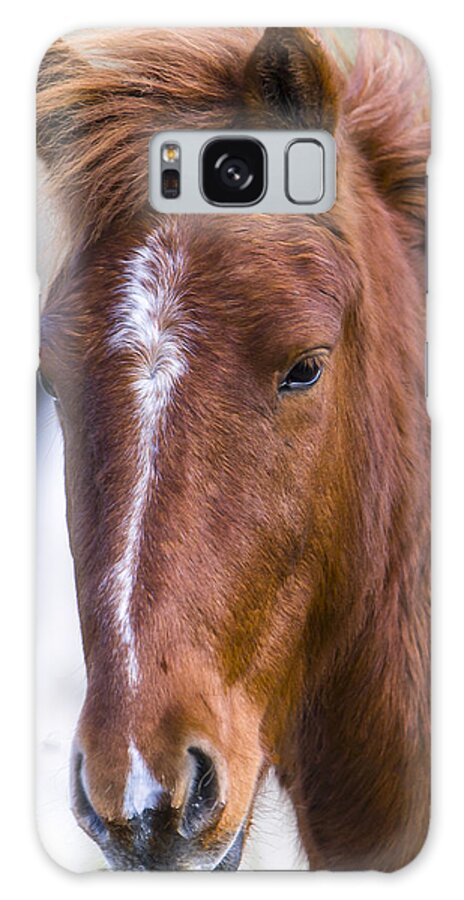 Chestnut Horse Galaxy S8 Case featuring the photograph A Chestnut Horse portrait by Andy Myatt