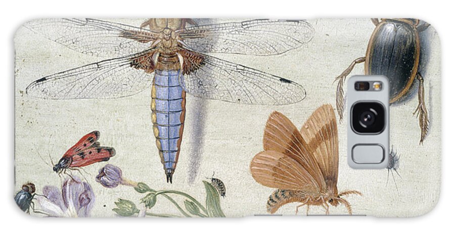 Dragonfly Galaxy Case featuring the painting A Cockchafer, Beetle, Woodlice and other Insects, with a Sprig of Auricula by Jan Van Kessel