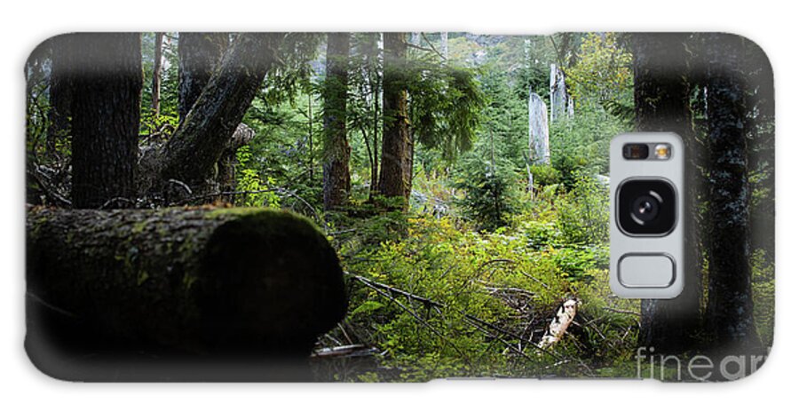 Forest Galaxy Case featuring the photograph A light spot in the forest by Agnes Caruso