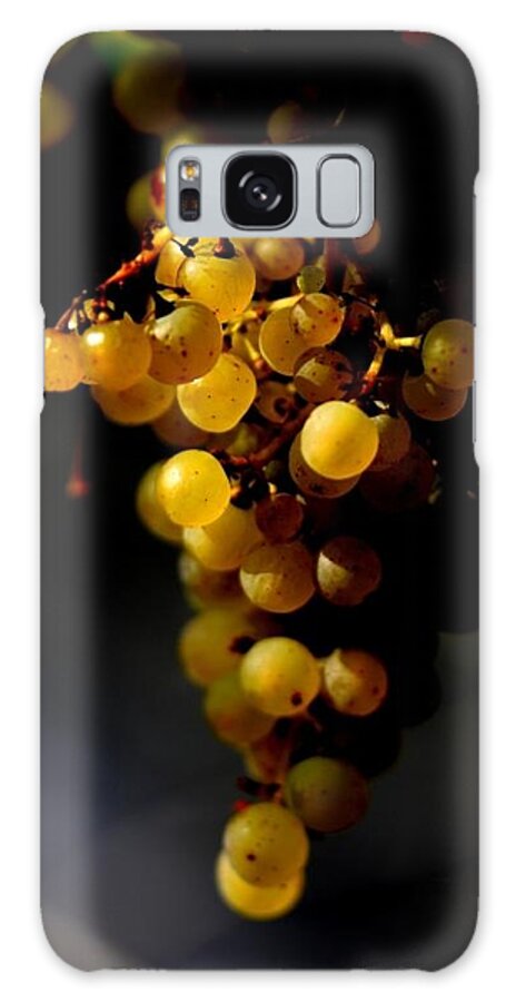 Grapes Lighting Food Wine Autumn Growth Life Icewine Galaxy Case featuring the photograph A luscious bunch of grapes by Ian Sanders