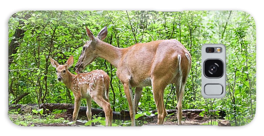 Deer Galaxy S8 Case featuring the photograph A Mother's Love by Michael Peychich