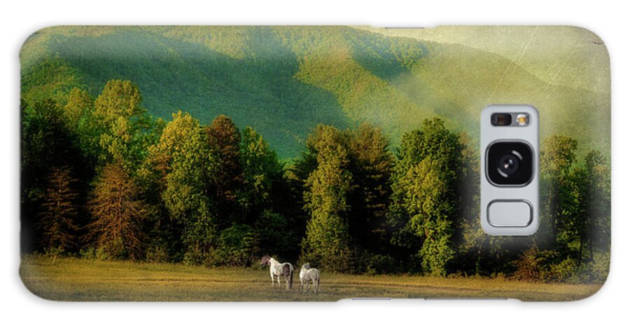 Cades Cove Galaxy Case featuring the photograph A Pair by Mike Eingle