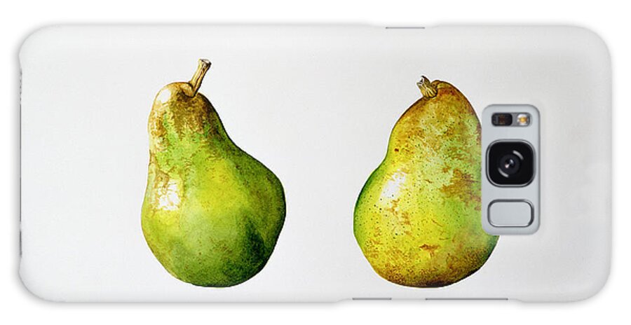 Fruit Galaxy Case featuring the painting A Pair of Pears by Alison Cooper