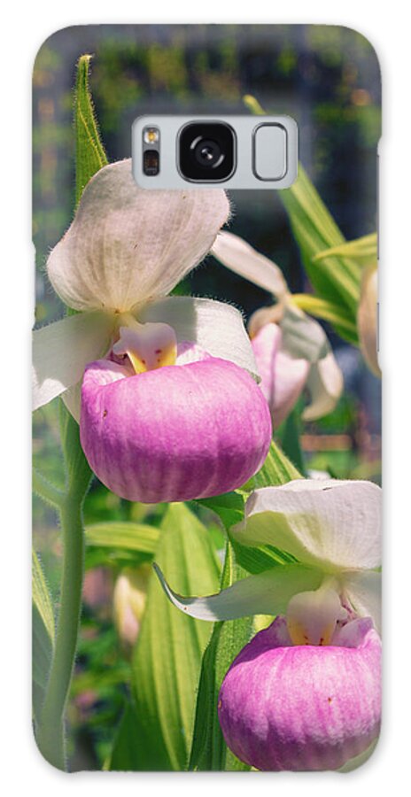 Showy Lady Slipper Galaxy Case featuring the photograph A Pair of Slippers by Nancy Dunivin