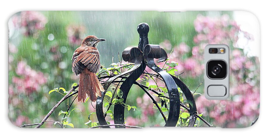 Birds Galaxy Case featuring the photograph A Rainy Summer Day by Trina Ansel