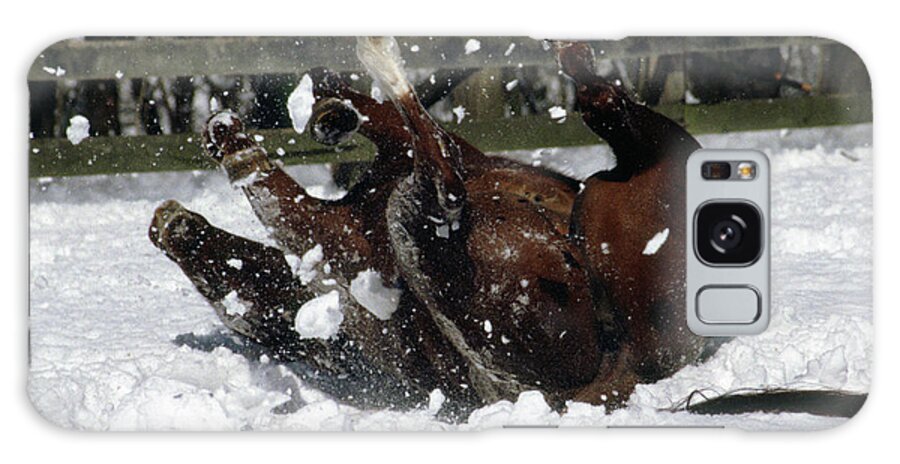 Horse Galaxy S8 Case featuring the photograph A Roll in the Snow by Nicki McManus
